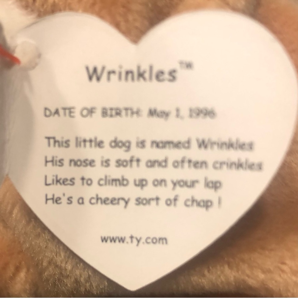 ty Wrinkles Beanie Babies - Brown and White Plush Dog Toy with Floppy Ears - Picture 7 of 10